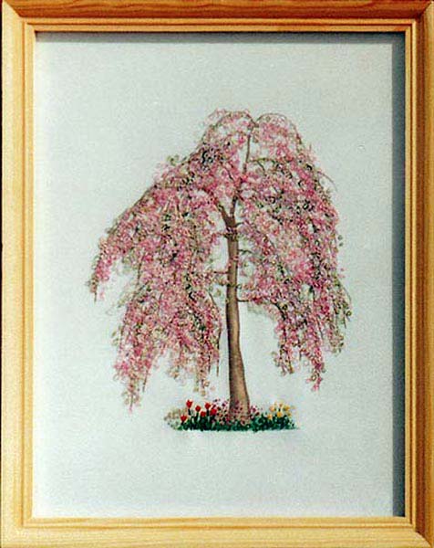 Pink-Tree-Blossom