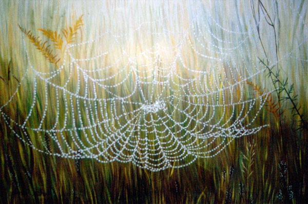Cobweb-in-Grass